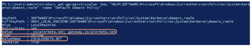 ValueName and Value fields for domain_realm Screenshot of the ValueName and Value fields for domain_realm
