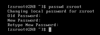 New password in the ZAB VM console Screenshot changing the password in the ZAB VM console
