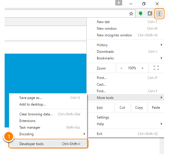 Screenshot of Google Chrome settings highlighting the Developer tools option